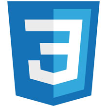 CSS3 logo